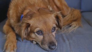 Мудрая притча о годах жизни человека