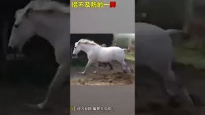 Китайские приколы просто жесть??????