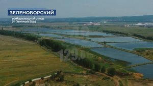 Нижне-Обский филиал в цифрах