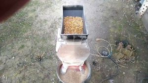 ИЗ ЧЕГО Я ГОТОВЛЮ КАШУ ДЛЯ НУТРИЙ. Дробление зерна и пропорции.