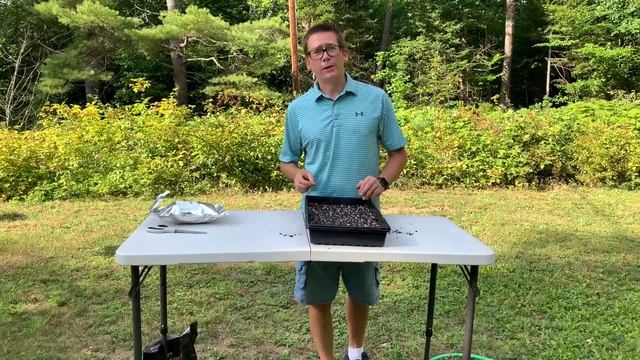 Pink Lipstick Chard Microgreens смотреть онлайн