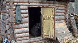 Жизнь в тайге. Проверка зимовья. По таежной тропе