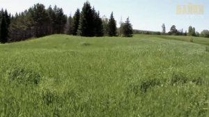 В 1980 году в тайге стали пропадать охотники, и только одному человеку удалось разобраться почему..