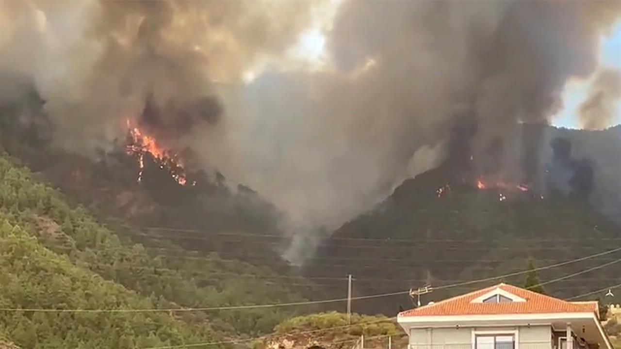 Ситуация с природными пожарами на Канарских островах, по заявлению властей, вышла из-под контроля