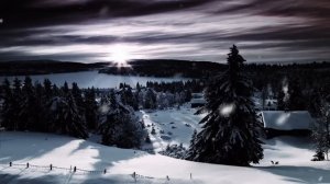 Таёжные Истории: "Большая Медведица" — Охота, Которая Пошла Не По Плану