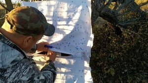 ТОЗ-34Р отстрел 5ки STERLING на кучность, резкость на 35м