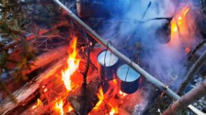 Ушел жить в тайгу.  День второй:  готовим  уху на костре.