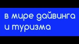 37. Внимание: осьминоги