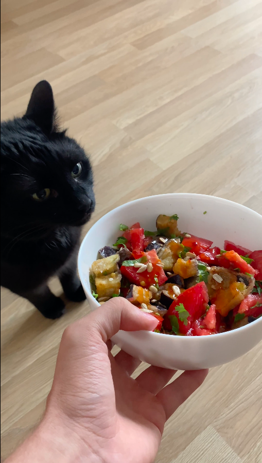 Салат морской котик. Салат кот. Кот с овощами мем. Кошка ест малину. Салат в виде кота на новый год.