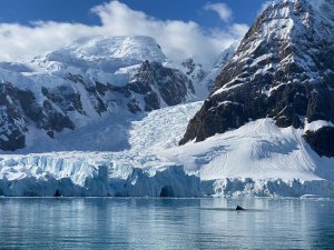 Антарктида