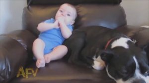 Жесть! Ребенок пукнул, аж собака сбежала! Смешные дети.