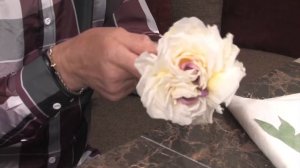 Цветы из шёлка  в  техникe Somebana p 4 Rose 4