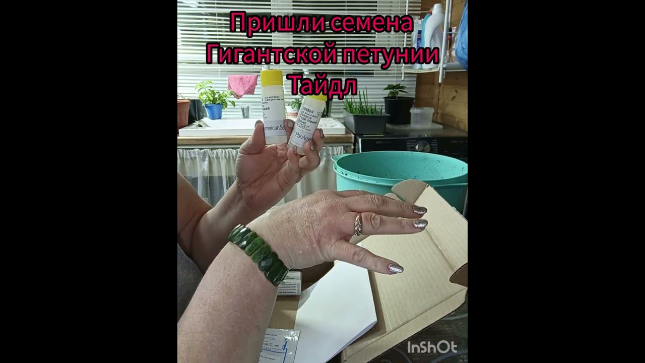 Обзор последней в 2023 году посылки с семенами #профессиональныесемена  #рассадачкаловск