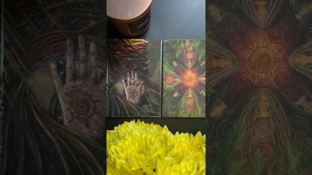 МАК-СКАЗКИ. Целебные сказки для Женщин✨Сказ 1. смотреть онлайн