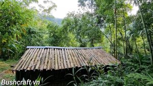 OFF GRID LIVING: How to knit a basket from bamboo? live in my bamboo house off the grid | Ep.49