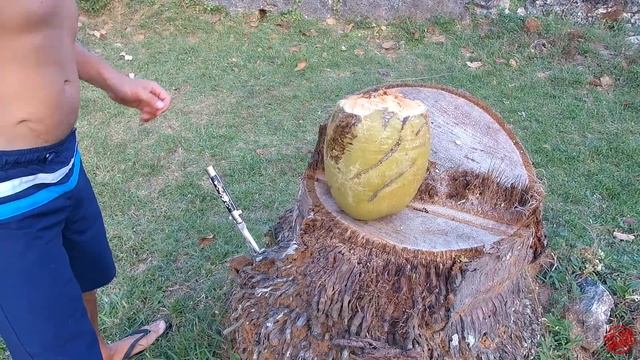 Как открыть кокос. Кокосовая плантация на Шри-Ланке 2019. смотреть онлайн