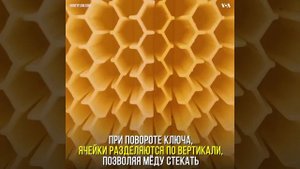 Потоковый улей