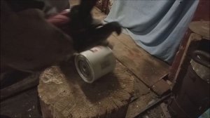 ПОДДЕЛКА!!!!Cummins.Фильтр системы охлаждения Fleetguard.