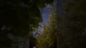 Явление ангелов в небе  снятых на камеру