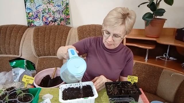 Посадите перец ТАК и урожай вас завалит смотреть онлайн