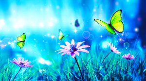 Расслабляющее чтение Музыкальная коллекция Collection Книги Кафе Музыка, Музыка для занятий