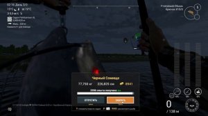 Черный Сомище. Метка. Fishing Planet.