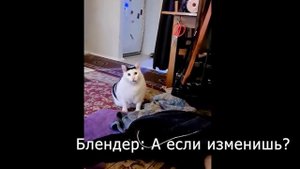Кот Блендер и Полина (мем)