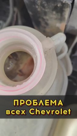 Стандартные болячки Шевроле