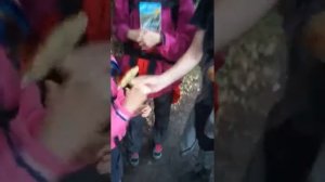 Гриб моховик - подробный обзор, как отличить, чем примечателен.