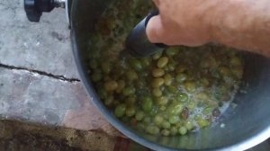 Самая быстрая соковыжималка винограда. часть 1