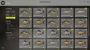 Русская рыбалка 4- гайд, ЛЕЩ и ЩУКА на остроге, прикорм 100% и 8000 серебра | серия 10