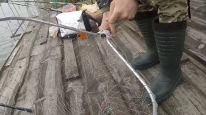 Ловля Карася Летом. Карась на гороховую мастырку. Пуфики на Карася