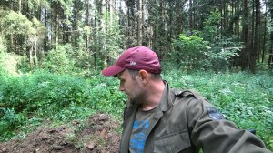 Куча серебряных монет на фундаменте. Шурф. Золотая лихорадка.