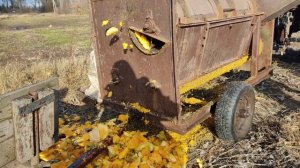 самодельный  комбаин для уборки тыквы, гарбуза ,кабочка