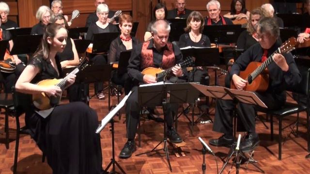 Divertimento for Two Mandolins and Guitar - Robert Schulz смотреть онлайн