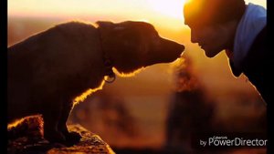 #ЧТО БУДЕТ ЕСЛИ ТЫ ОСТАНЕШЬСЯ ОДИН НА ЗЕМЛЕ?/ SiOneGo