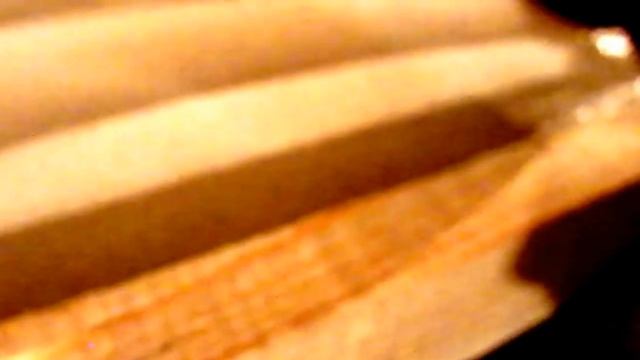 ФОРМА ДЛЯ 3D ПАНЕЛИ! смотреть онлайн