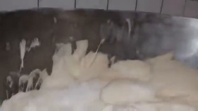 Тестоделитель и тестоокруглитель KUMKAYA ?