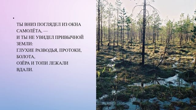 Пётр Комаров Сунгарийские болота..mp4