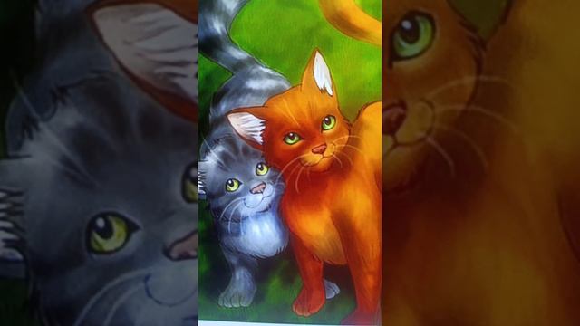 Жизнь Огнезвёзда 😿😿😿 Очень жаль его!😭 подпишись если жалко его!😰 смотреть онлайн