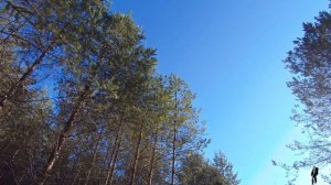 №14 Строю укрытие в тайге. Без гвоздей, только верёвка