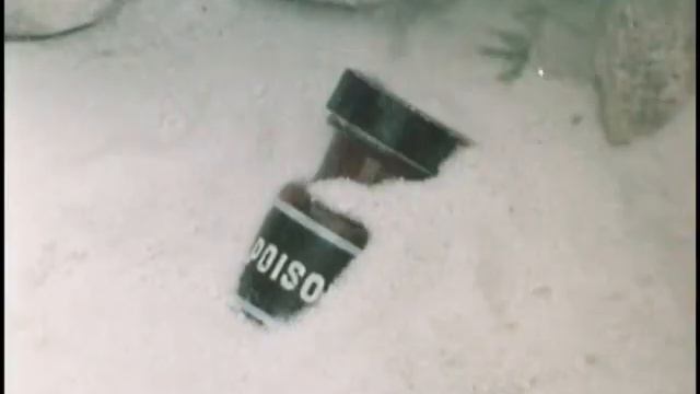 Встретили Рождество (tiktok edition) смотреть онлайн