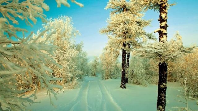 1 ФЕВРАЛЯ. В этот день ВЕЩИЕ СНЫ не пропусти! МАКАРЬЕВ ДЕНЬ. смотреть онлайн