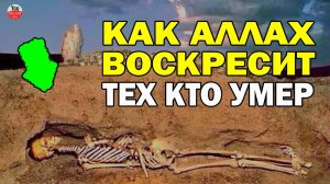 ПОСМОТРИ, КАК АЛЛАХ ВОСКРЕСИТ ИСТЛЕВШИЕ ТЕЛА УМЕРШИХ В СУДНЫЙ ДЕНЬ!