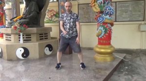 УШУ, Кунг-Фу, Стиль Журавля, Байхэцюань, BaiHeQuan, Crane Style, 白鹤拳