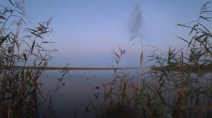 Открытие охоты на утку 2023 в Ростовской области