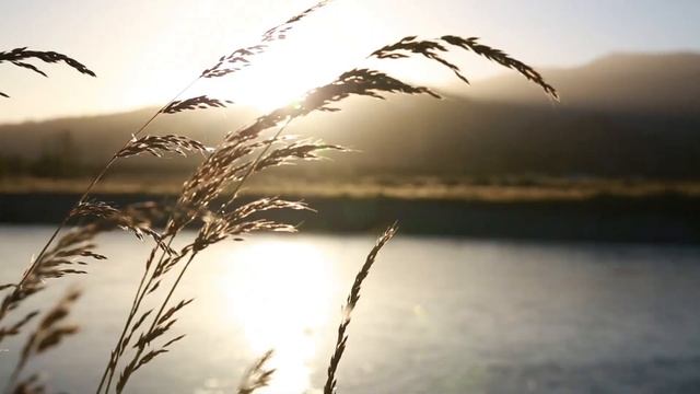 Шум воды Нежный Шум Моря, Звуки Волн Для Сна и Релаксации. Лечение Бессонницы. Музыка для сна смотреть онлайн