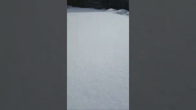 Предназначение Человека - Быть Счастливым! Из Солнечного Чикаго!