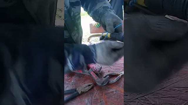 хомут из проволоки. смотреть онлайн