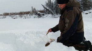 Зимняя рыбалка на приполярном урале, Саранпауль 2021.